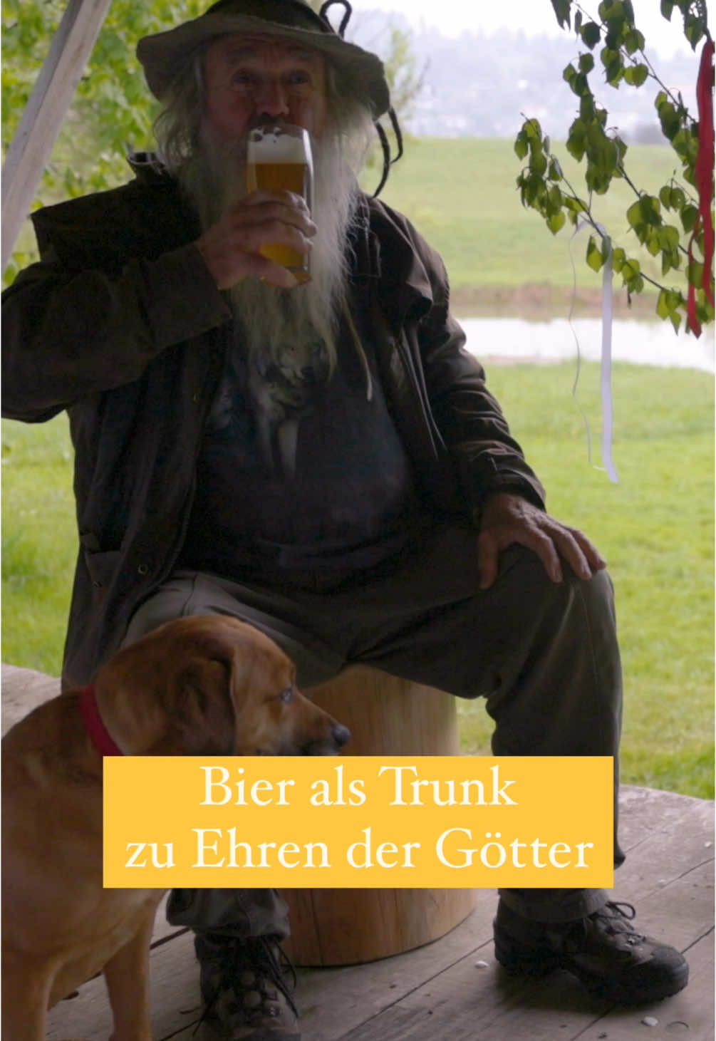 A post by @wolfdieterstorl on TikTok caption: Bei Germanen und Kelten war Bier mehr als nur ein Getränk. Es wurde bei Opferritualen und Festen für die Götter getrunken – zum Beispiel zu Ehren von Thor oder Odin. Der Rausch war Teil des Rituals – ein Weg, den Göttern näherzukommen. 🐺🌱 #bier #brauchtum #bio #juni #a 