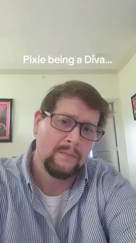 A post by @theryananderson on TikTok caption: Pixie being a Diva...like she is all day, every day.  #TeamRyan #TeamPixie 