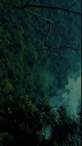 A post by @ahmet_yuusuf on TikTok caption: وَلَوۡ أَنَّا كَتَبۡنَا عَلَیۡهِمۡ أَنِ ٱقۡتُلُوۤا۟ أَنفُسَكُمۡ أَوِ ٱخۡرُجُوا۟ مِن دِیَـٰرِكُم مَّا فَعَلُوهُ إِلَّا قَلِیلࣱ مِّنۡهُمۡۖ وَلَوۡ أَنَّهُمۡ فَعَلُوا۟ مَا یُوعَظُونَ بِهِۦ لَكَانَ خَیۡرࣰا لَّهُمۡ وَأَشَدَّ تَثۡبِیتࣰا  [Surah An-Nisāʾ: 66] #surahannisa #tobecontinued #quran #quran_alkarim #القران_الكريم #quranrecitation #sheikhsalahbukhatir #foryoupage❤️❤️ #muslim #somalitiktok #ahmetyuusuf 
