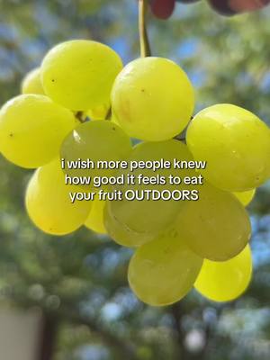 A post by @allicattt on TikTok caption: that sensory enhancement though 😍😩🍇 #fruits #grapes #fruit #outdoors #outside #trending 