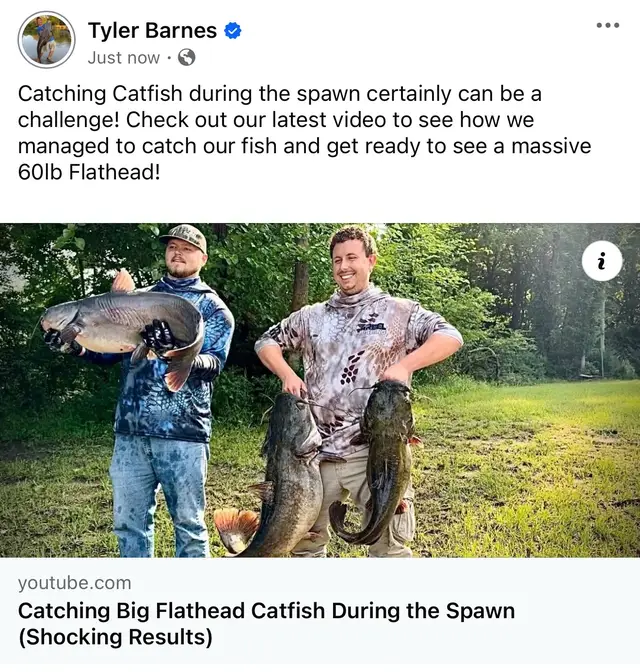 A post by @tylerbarnes_catfishing on TikTok caption: Catching Catfish during the spawn certainly can be a challenge! Check out our latest video to see how we managed to catch our fish and get ready to see a massive 60lb Flathead! Check out 4REEL Fishing on YouTube and consider subscribing! 
