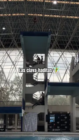 A post by @com_mexico on TikTok caption: Las Clava-haditas mientras competían en el Selectivo Nacional para el Campeonato Mundial de Clavados.