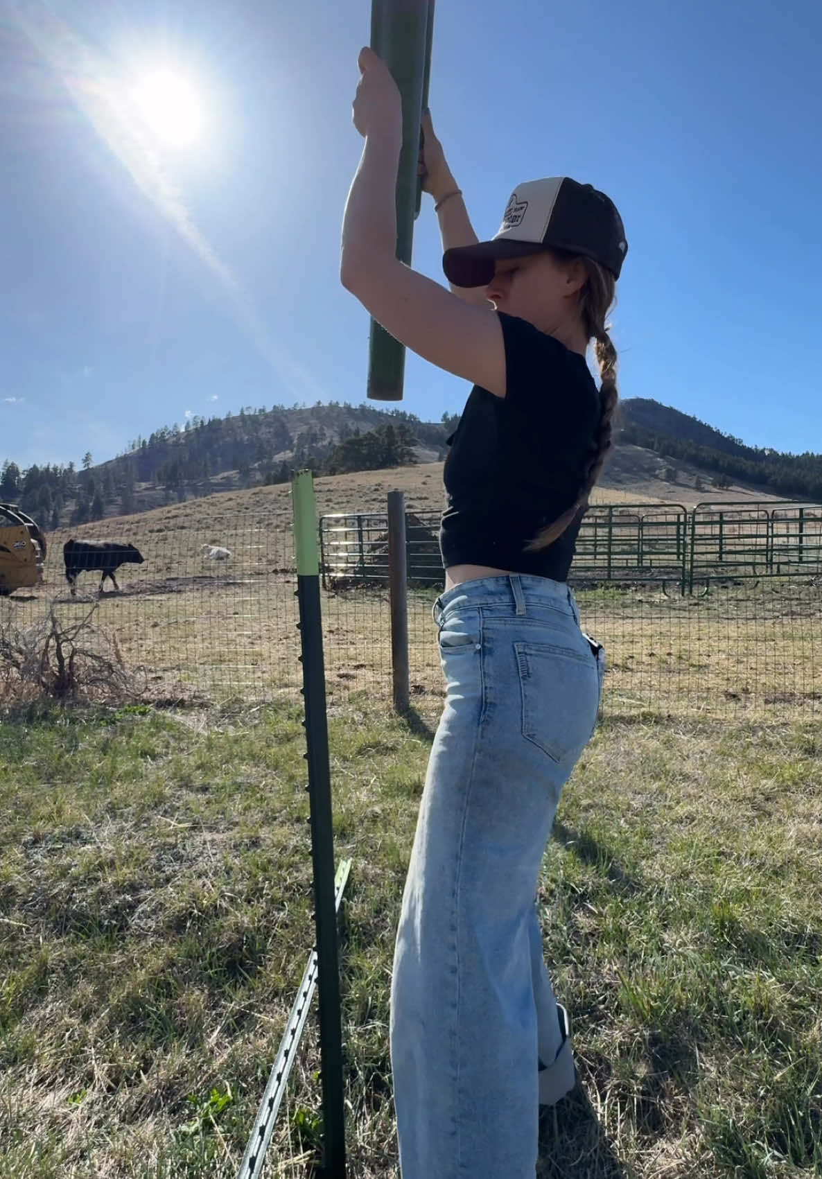 A post by @steadyrein on TikTok caption: i’m very behind with updating you guys on all my projects!! it’s been a busy spring #montana #homestead #ranchlife #goats #cabin #DIY #goatsoftiktok 
