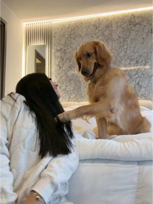 A post by @soymelissanavarro on TikTok caption: Te amo ❤️‍🩹