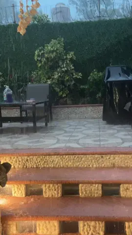 A post by @loos.rabadan on TikTok caption: 😧😳