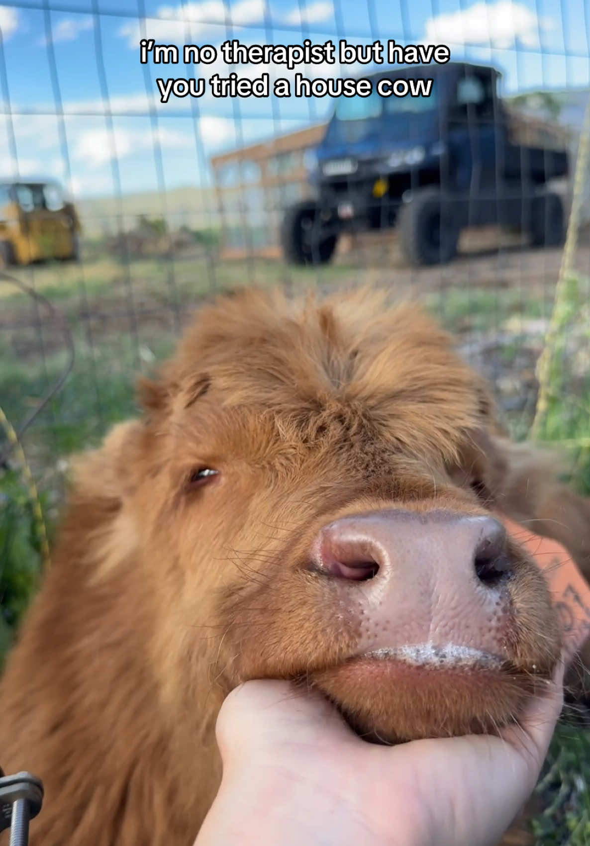 A post by @steadyrein on TikTok caption: one thing about me is i AM gonna exercise free will 