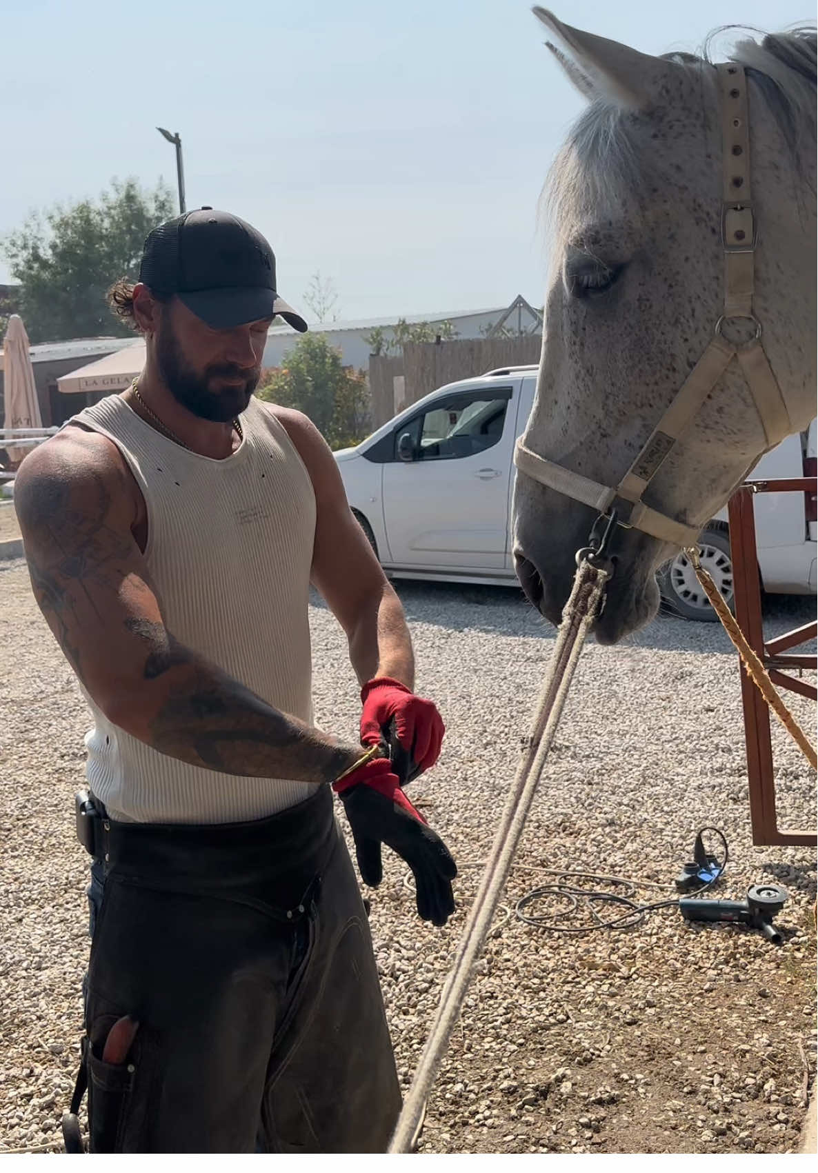 A post by @quentin.emery on TikTok caption: Still learning, don’t run away from the hard work. #horses #fyp #farmlife #fyppppppppppppppppppppppp 