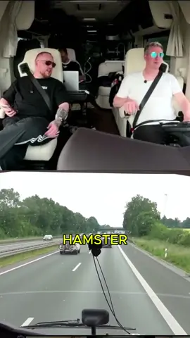 A post by @zarbex on TikTok caption: kennst du xhamster? 
