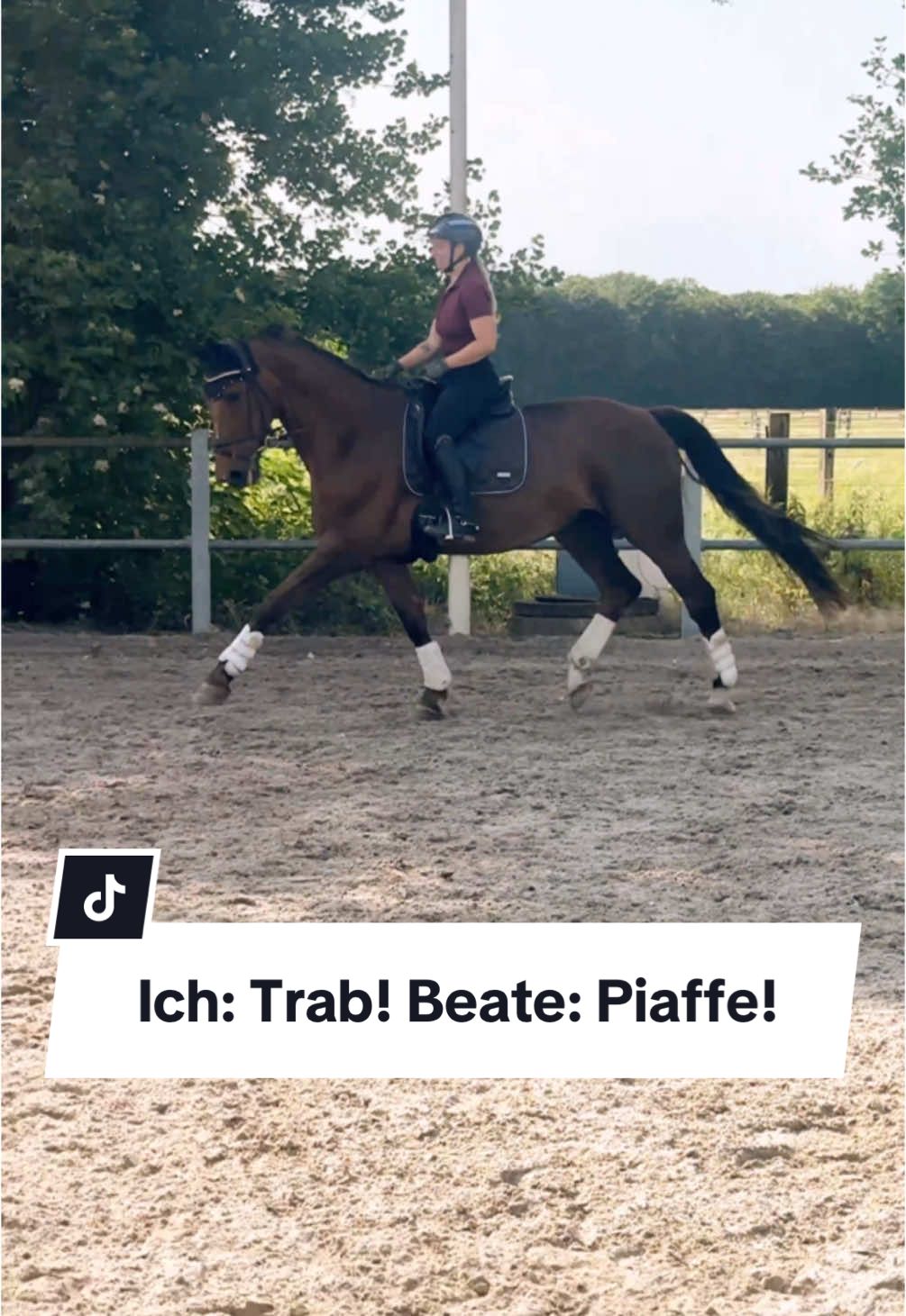 A post by @franziundfleur on TikTok caption: Fail einfach 🤣 Warum ist das so schwer? Ansonsten lief sie aber echt gut gestern, wollt ihr‘s sehen? 😂 IG: franziskaelea  #dressurpferd #dressur #piaffe #grandprixhorse #dressagehorse #franziundfleur #franziskaelea #pferdemädchen 