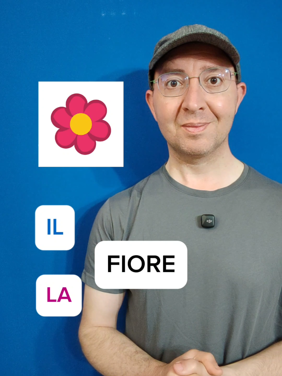 A post by @funandeasyitalian on TikTok caption: 🔴MASCHILE O FEMMINILE? 🇮🇹🤔 🔶Metti alla prova il tuo italiano con questo esercizio! 🤓 Un abbraccio! 😉 Marco #learnitalian #aprenderitaliano #lezioniditaliano #italianlessons #aulasdeitaliano #italianteacher #clasesdeitaliano #funandeasyitalian #eserciziditaliano #italianexercises 