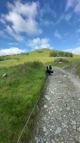 A post by @robynmilne06 on TikTok caption: Ben Vorlich and Stuc À Chroin  42 and 43 for me☺️ #munros #lochlomond #dog #raynauds #munrobagging 
