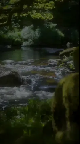 A post by @ahmet_yuusuf on TikTok caption: وَمَا لَكُمۡ لَا تُقَـٰتِلُونَ فِی سَبِیلِ ٱللَّهِ وَٱلۡمُسۡتَضۡعَفِینَ مِنَ ٱلرِّجَالِ وَٱلنِّسَاۤءِ وَٱلۡوِلۡدَ ٰ⁠نِ ٱلَّذِینَ یَقُولُونَ رَبَّنَاۤ أَخۡرِجۡنَا مِنۡ هَـٰذِهِ ٱلۡقَرۡیَةِ ٱلظَّالِمِ أَهۡلُهَا وَٱجۡعَل لَّنَا مِن لَّدُنكَ وَلِیࣰّا وَٱجۡعَل لَّنَا مِن لَّدُنكَ نَصِیرًا  [Surah An-Nisāʾ: 75] #surahannisa #tobecontinued #quran #quran_alkarim #القران_الكريم #quranrecitation #sheikhsalahbukhatir #foryoupage❤️❤️ #muslim #somalitiktok #ahmetyuusuf 