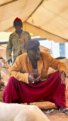 A post by @diopnostress1 on TikTok caption: Kouné Sénégal nékhoul amo connexion 😂🥰🇸🇳@Décotex Touba Tawfèx Tissus 