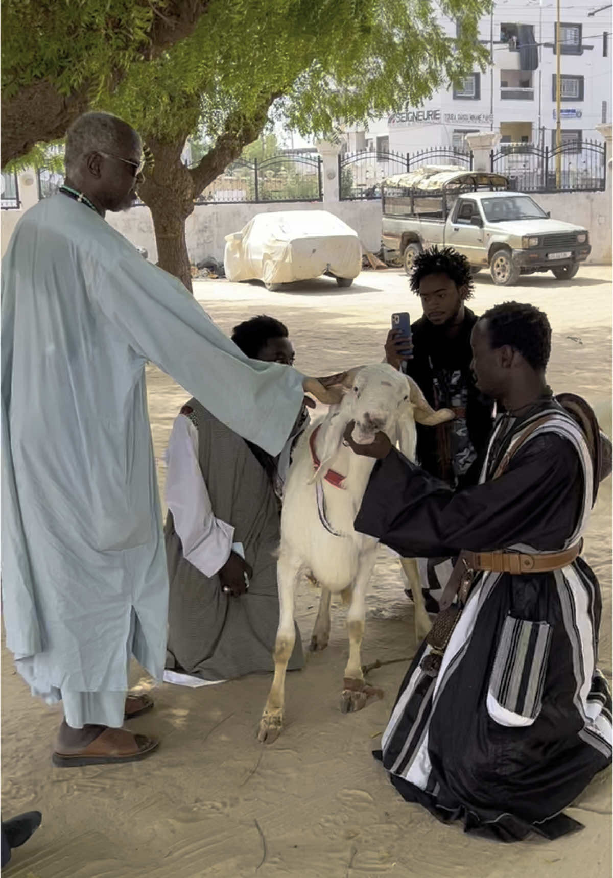 A post by @hisboundiguel1 on TikTok caption: Adiyaa kharou tabaskii 2025#senegalaise_tik_tok #tabaski #tiktoksenegal #pourtoi #viral_video #toubacakanam #decouverte #senegalaise_tik_tok 