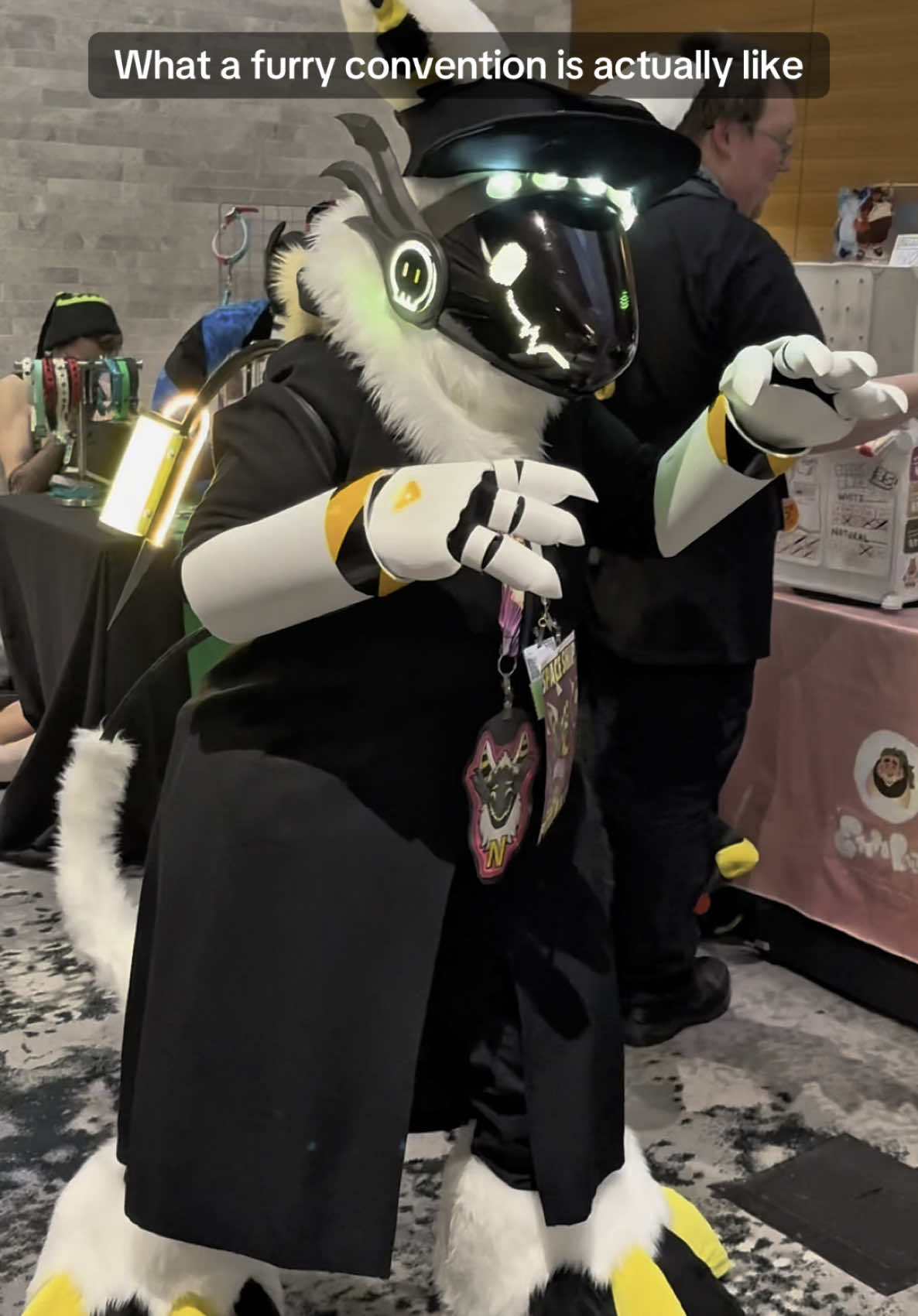 A post by @khajiitkat on TikTok caption: What actually happens at furry conventions AnthrOhio 2025  #furry #fursuit #furryfandom #furrytiktok 
