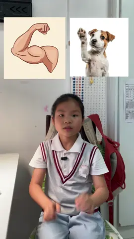 A post by @englishfuns on TikTok caption: Learn English: Human vs Animal Body Parts