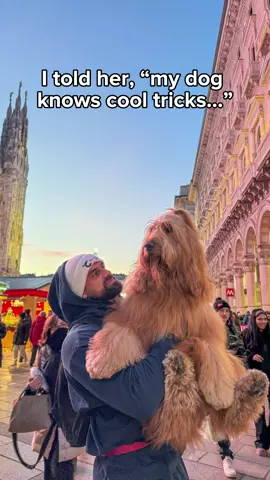 A post by @brodiethatdood on TikTok caption: He’s not good at giving paw… #dogdad #goldendoodle #holyairballtrend 