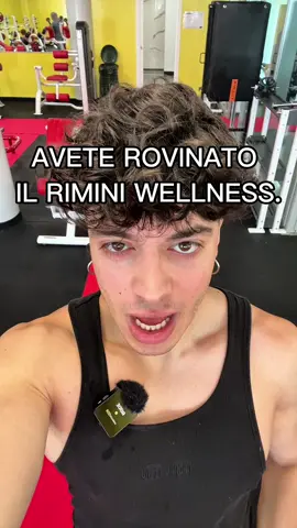 A post by @nacciflex on TikTok caption: E voi cosa ne pensate ? #riminiwellness 