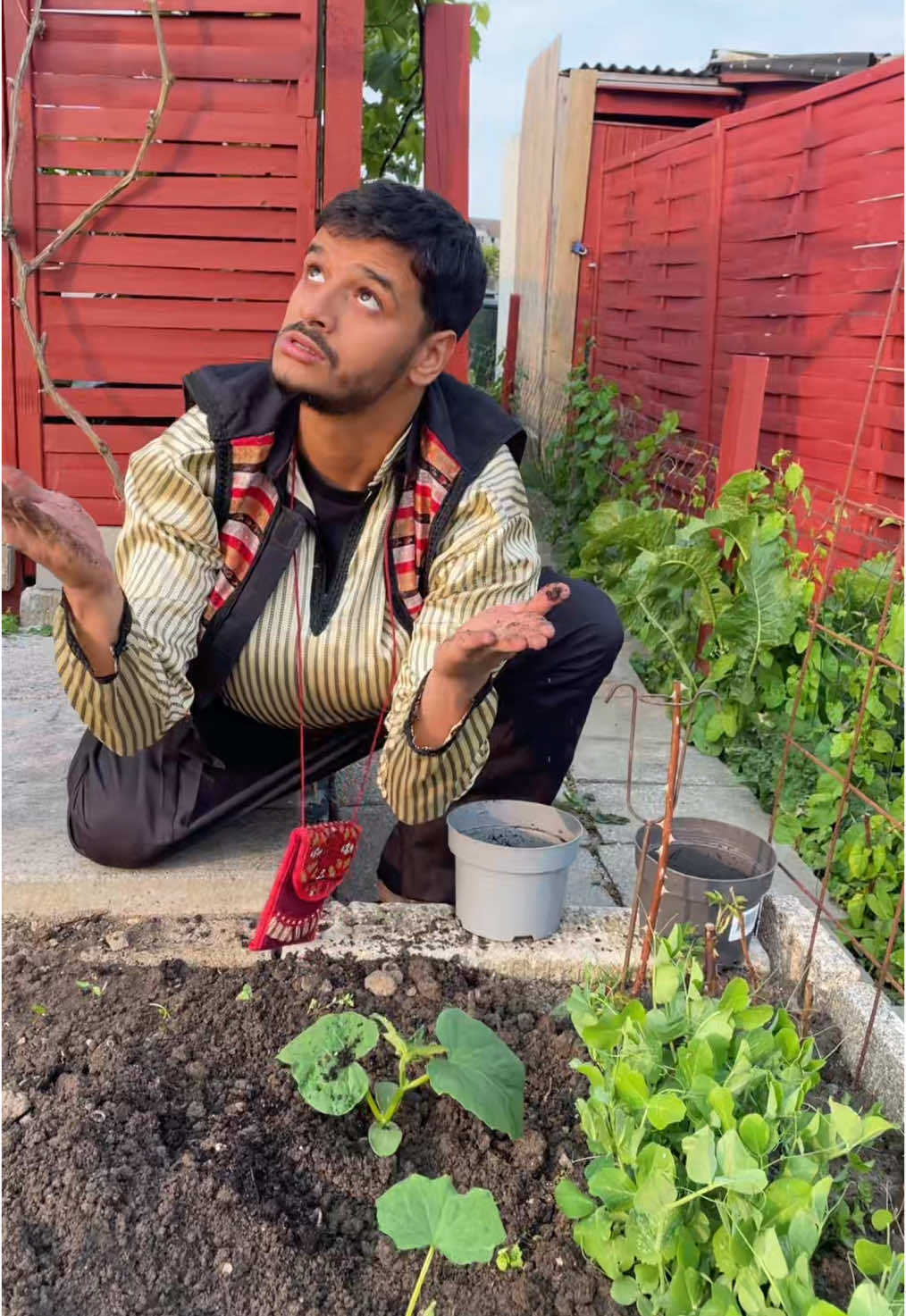A post by @razioff on TikTok caption: Abu Antar planting Episode 3 