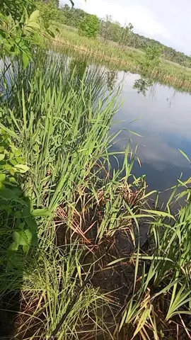 A post by @nastasya2101_ on TikTok caption: #лучшийотдых #2025#рыбалка#природа#красота 