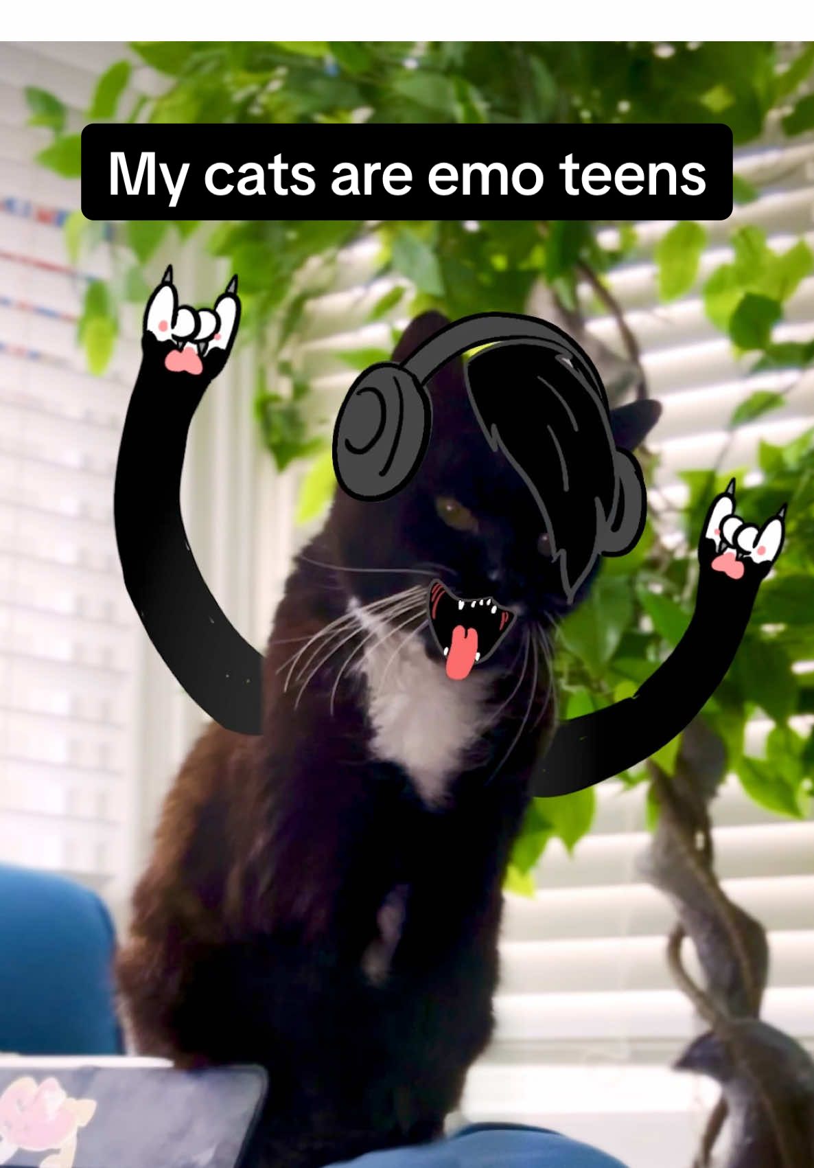 A post by @lewishancoxfilms on TikTok caption: Finally know how me mum felt. ;/ #cats #emo #millennial #catdad #animation #cartoon #comedy #fyp 