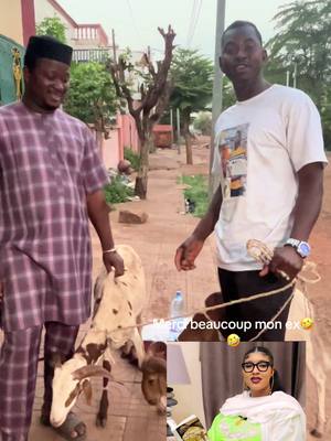 A post by @enfantdegaralo on TikTok