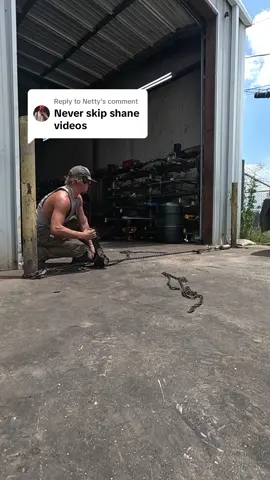 A post by @shanerrrrr on TikTok caption: Replying to @Netty 