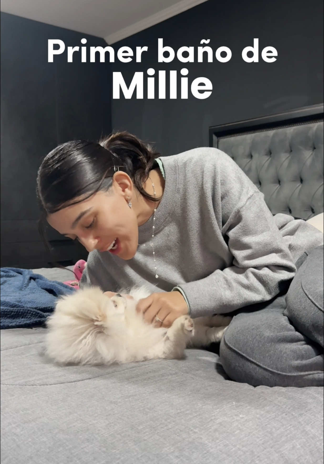 A post by @tatiifernandez._ on TikTok caption: Mi hija perruna🐾🐩🥹 #dog #perros #pomeranian 