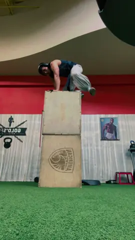 A post by @sonyjohnn3 on TikTok caption: #gym #calistenic 