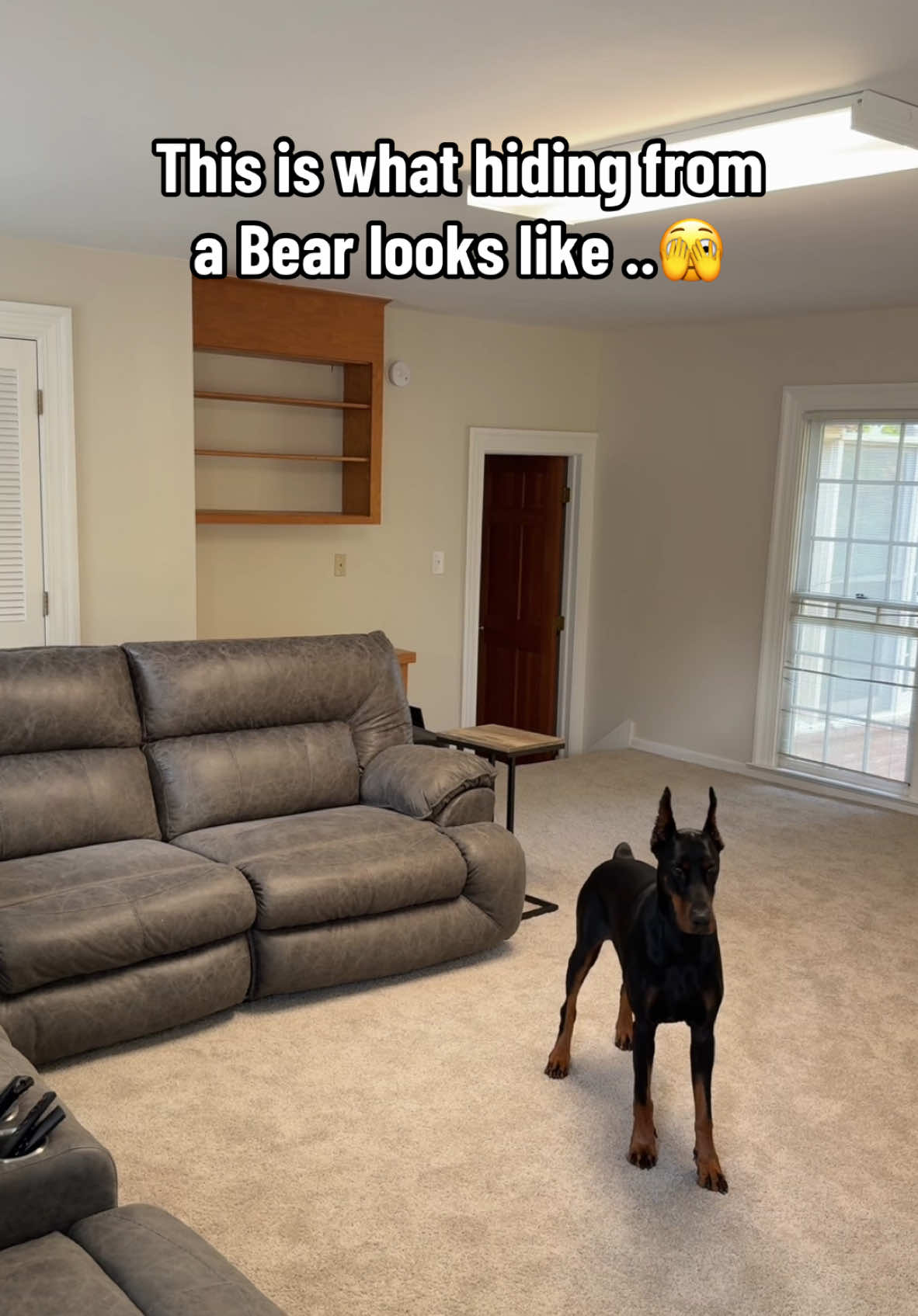 A post by @suavexavier on TikTok caption: Close call 😮‍💨😮‍💨🤯