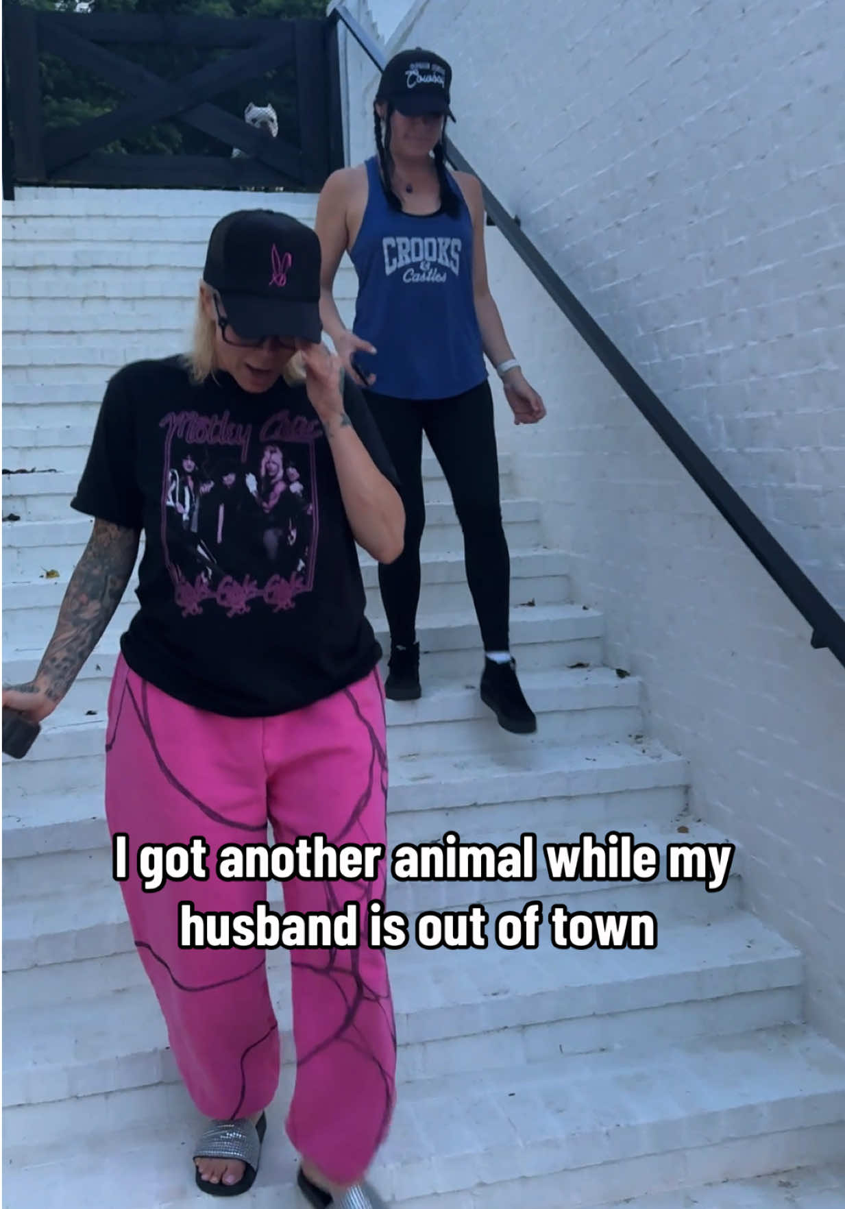 A post by @xomgitsbunnie on TikTok caption: Stay golden Pony Boy 🐎 #jellyandbunnie 