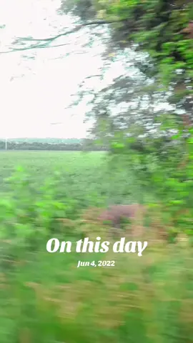 A post by @chahsanvirksab on TikTok caption: #onthisday