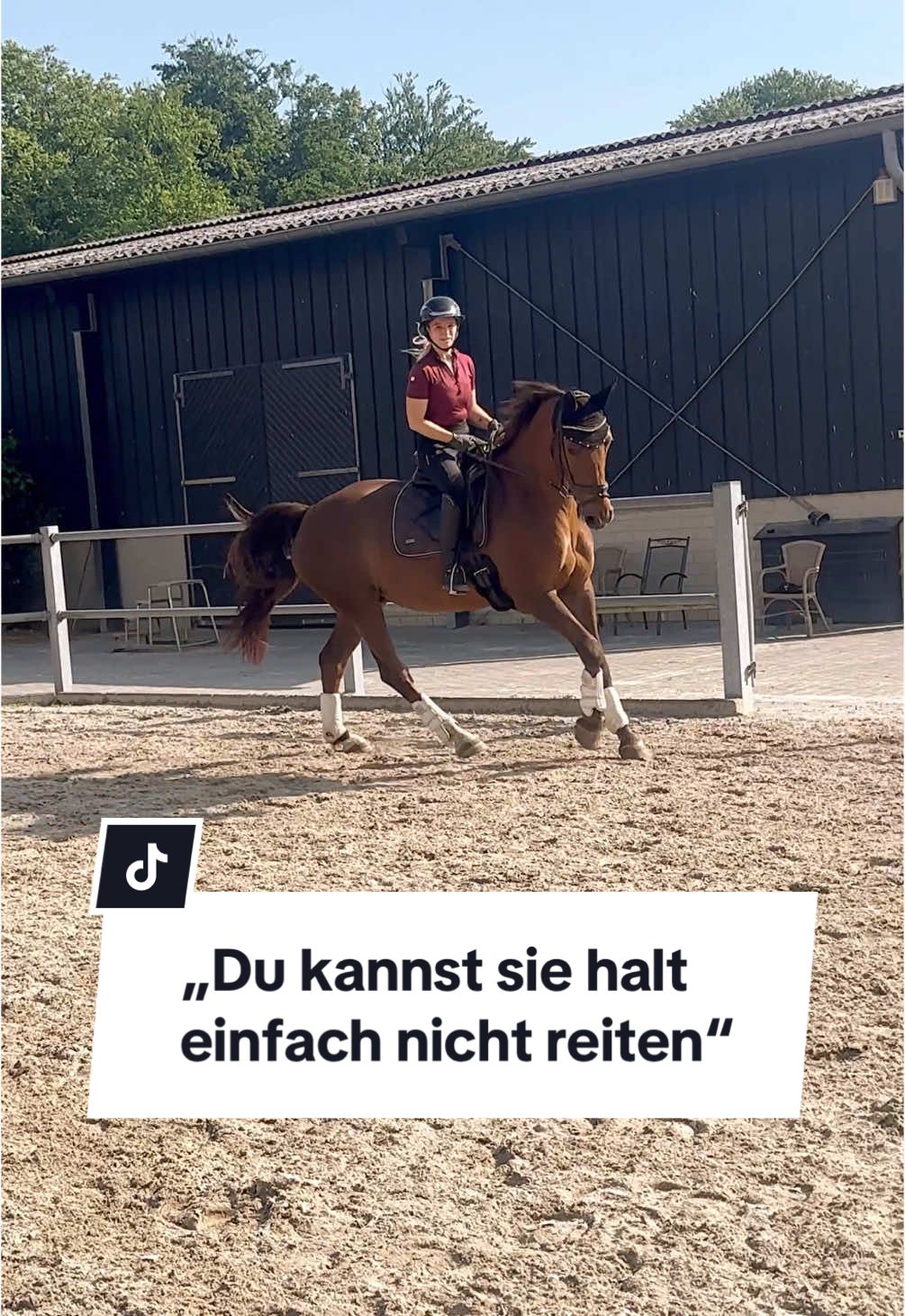 A post by @franziundfleur on TikTok caption: Antwort auf @Ivi Also ich bin zufrieden 😅 Hatte noch keinen Unterricht mit ihr und mich selbst reingewurschtelt. Bin nicht so der Typ, der nur die guten Momente rausschneidet. IG: franziskaelea  #dressurpferd #grandprixpferd #grandprixhorse #dressurreiter #franziundfleur #franziskaelea #fuchsstute #pferdemädchen #reitsport 