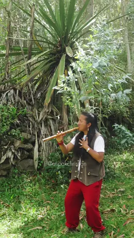 A post by @atipakchristian on TikTok caption: 🫶 Sunquyman - Atipak Christian 🔥 #nativemusic #nativeflute #andeanmusic 