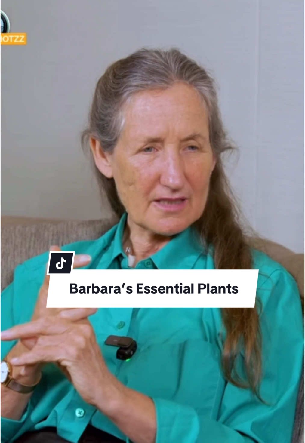 A post by @thehealthyyhabitat on TikTok caption: #plants #herbs #health #aloevera #natural #holistichealth #celery #parsley #didyouknow #wellness #tips #hacks #learnontiktok 