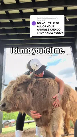 A post by @xomgitsbunnie on TikTok caption: Replying to @judlissablanco #jellyandbunnie