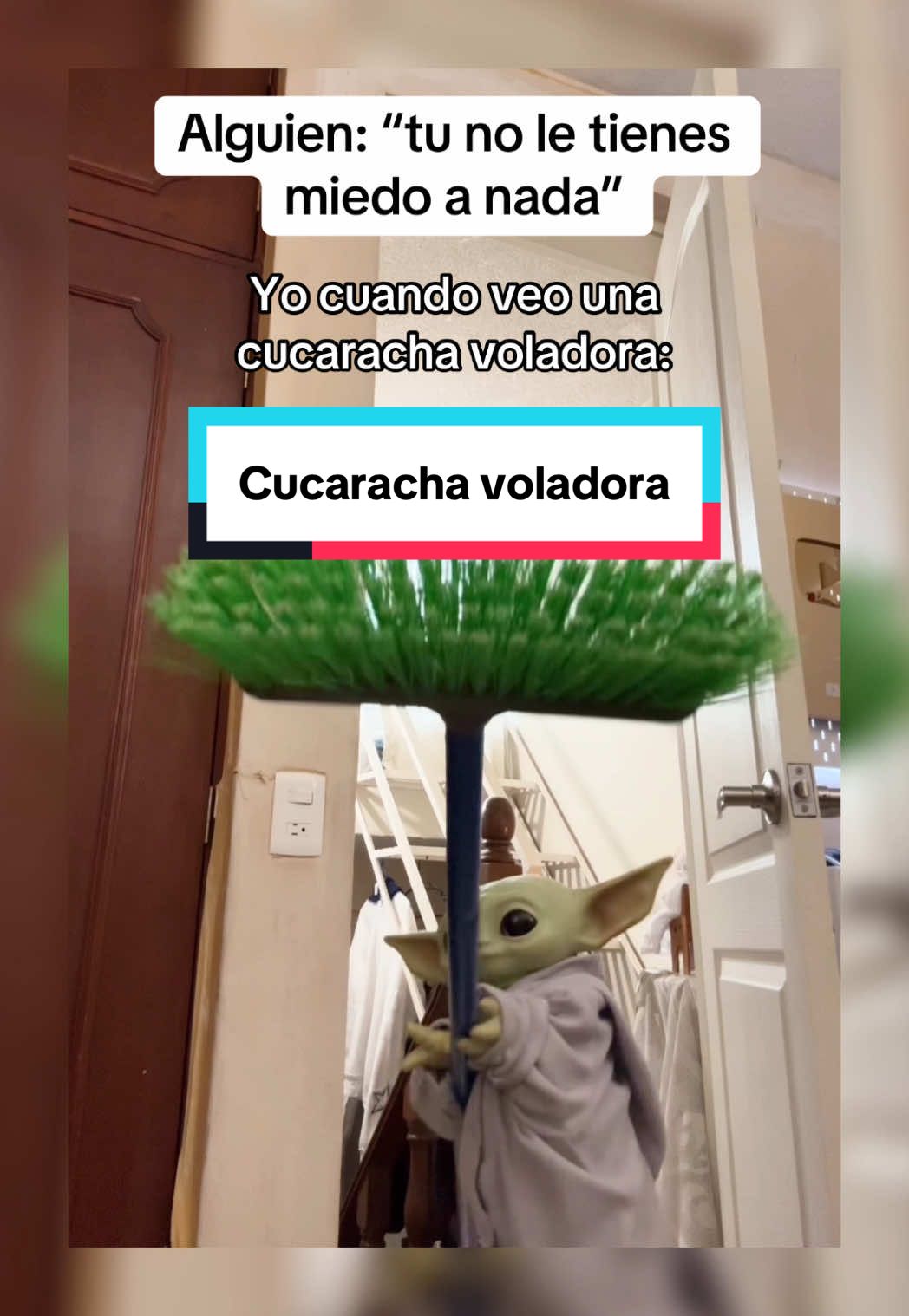 A post by @yodabeibi on TikTok caption: Esas si me dan miedo 😩 #humor #cucarachas # 