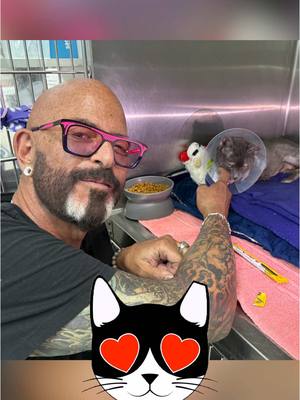 A post by @jacksongalaxy on TikTok caption: I met an incredibly special cat who is a true survivor. I can’t wait to tell you more of Minnie’s story (coming soon! Stay tuned!). In the meantime, it made me think a lot about how I get cats who have experienced significant trauma to trust me and open up. The first step is something you might have seen me do over the year called the “Cat, I love you.” Next up is an offering of sorts, like my go-to, @Inaba_churu. It all comes down to (in order): consent, trust, acknowledgement, and reward. It’s a system that’s worked for me for many years, and for many cats just like the amazing Skinny Minnie! 😻❤️ #inaba #inabachuru #cats #catlovers #trauma 