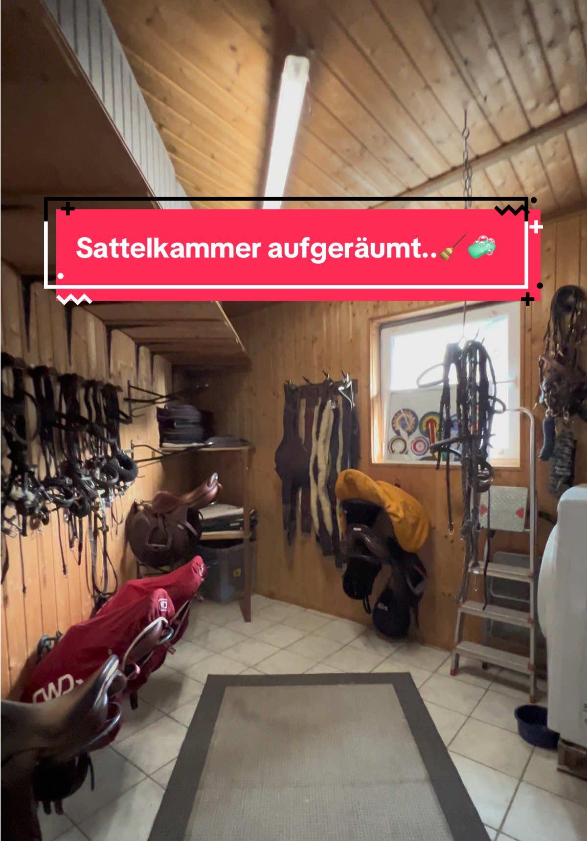 A post by @bellaxhorses on TikTok caption: Das war dringend nötig 😂 #bellaxhorses #horseslover #showjumpinghorse #horsegirl #equestrianlife #pferdeliebe #pferdemädchen #horsesoftiktoktok #equestrianlove #stablevlog #stallvlog 