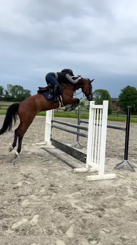 A post by @philinegroepper on TikTok caption: So happy with Duki🐻❤️