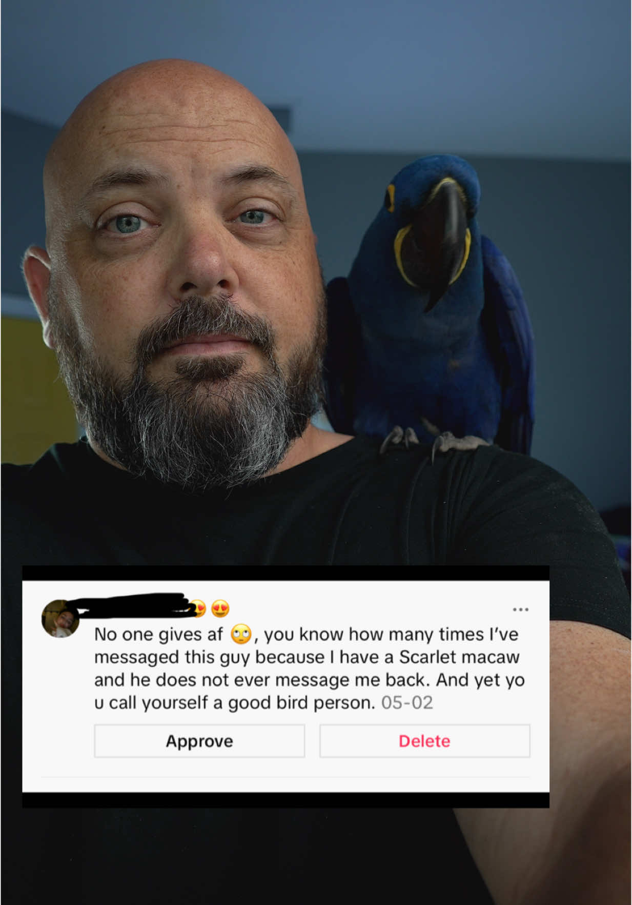 A post by @blueplanetpets on TikTok caption: I love to help, but I can’t do it all. #parrot #petbird 