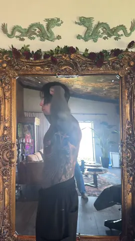 A post by @ronnieradke36 on TikTok