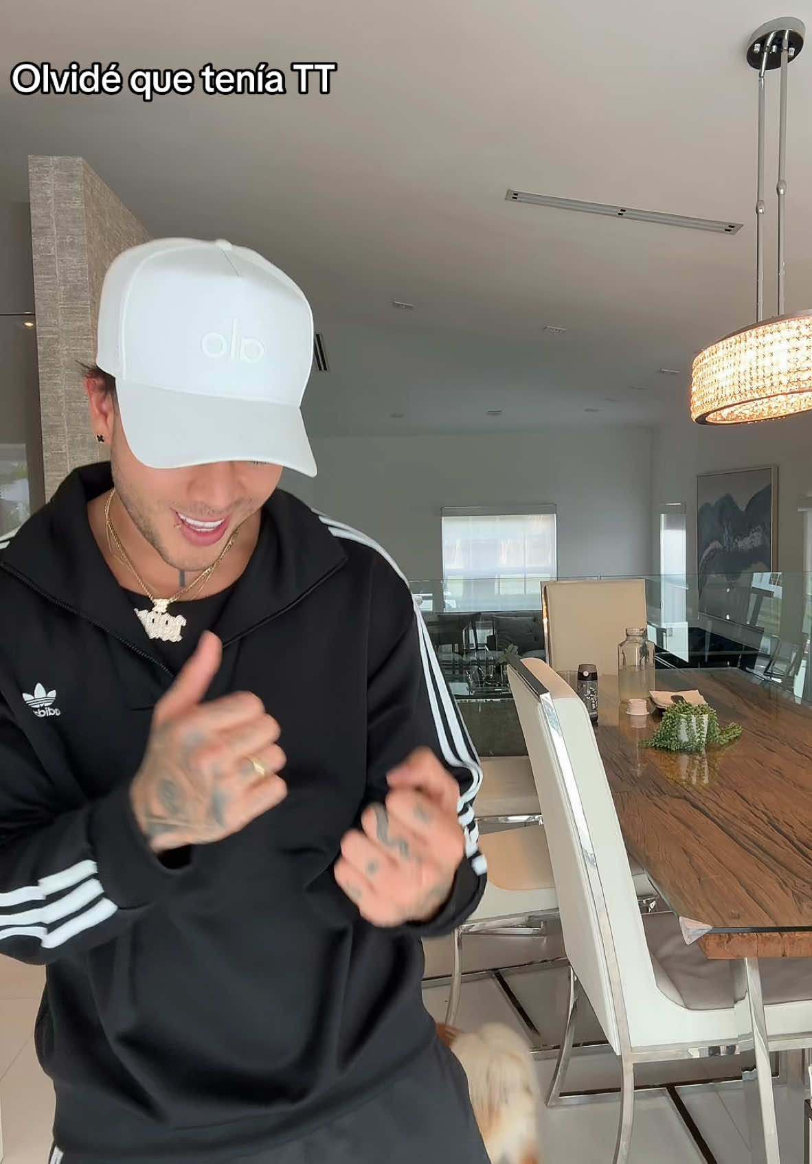 A post by @jdpantoja on TikTok caption: Perdon :( 