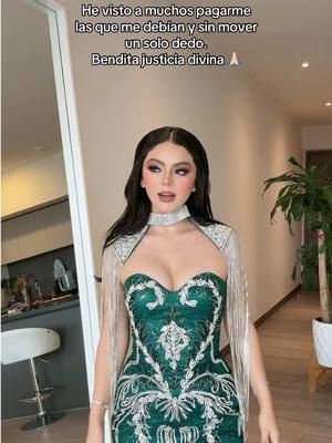 A post by @soymelissanavarro on TikTok