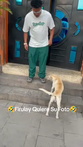 A post by @www.otroidiomard on TikTok caption: #Dios #diosnofalla #venezuela #venezuela🇻🇪 