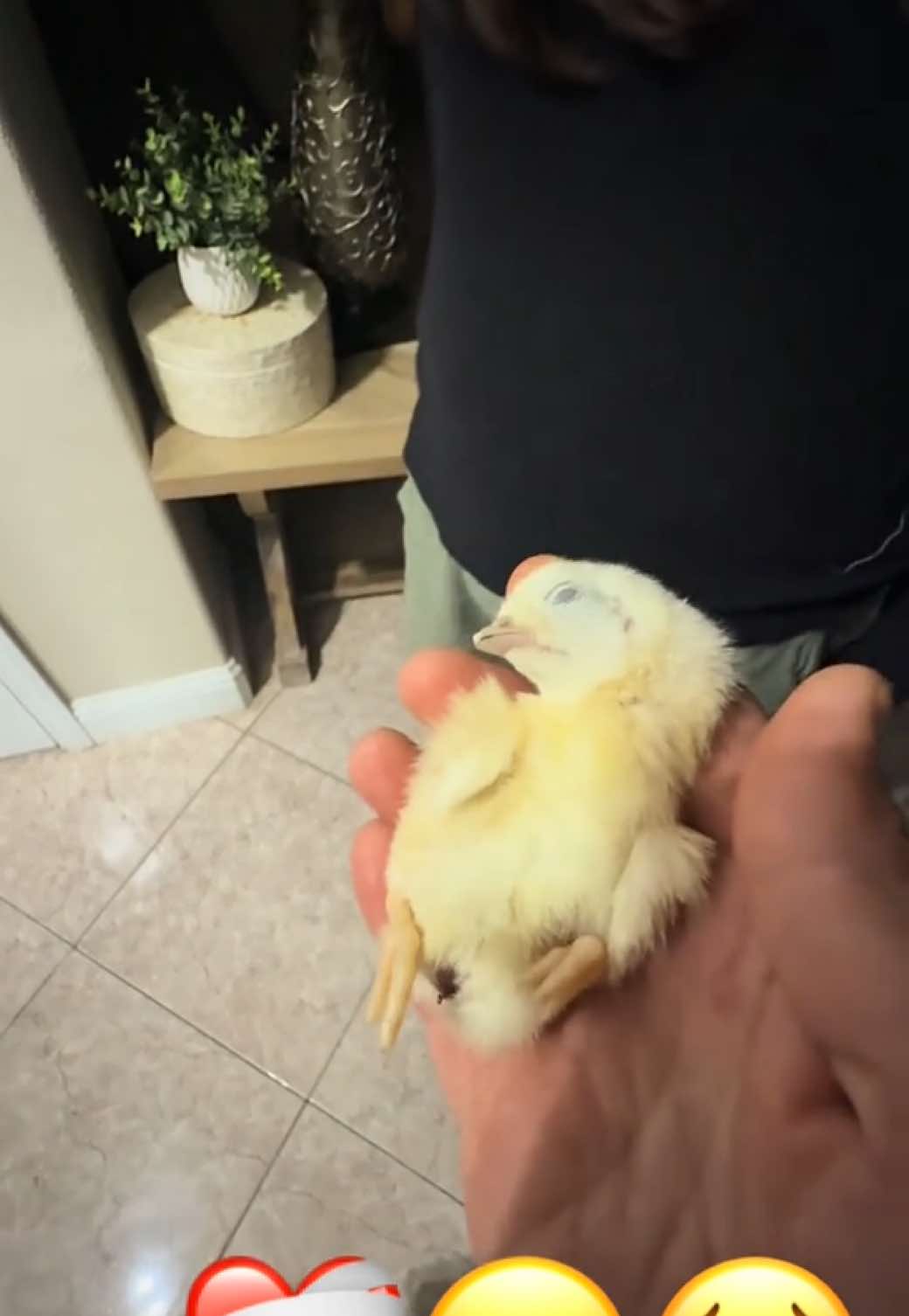 A post by @anaraquelhz on TikTok caption: Fue más fácil llorar con Emita que decirle que no llorara por Nachito🫶🏻🥹🐥#fyp #parati 