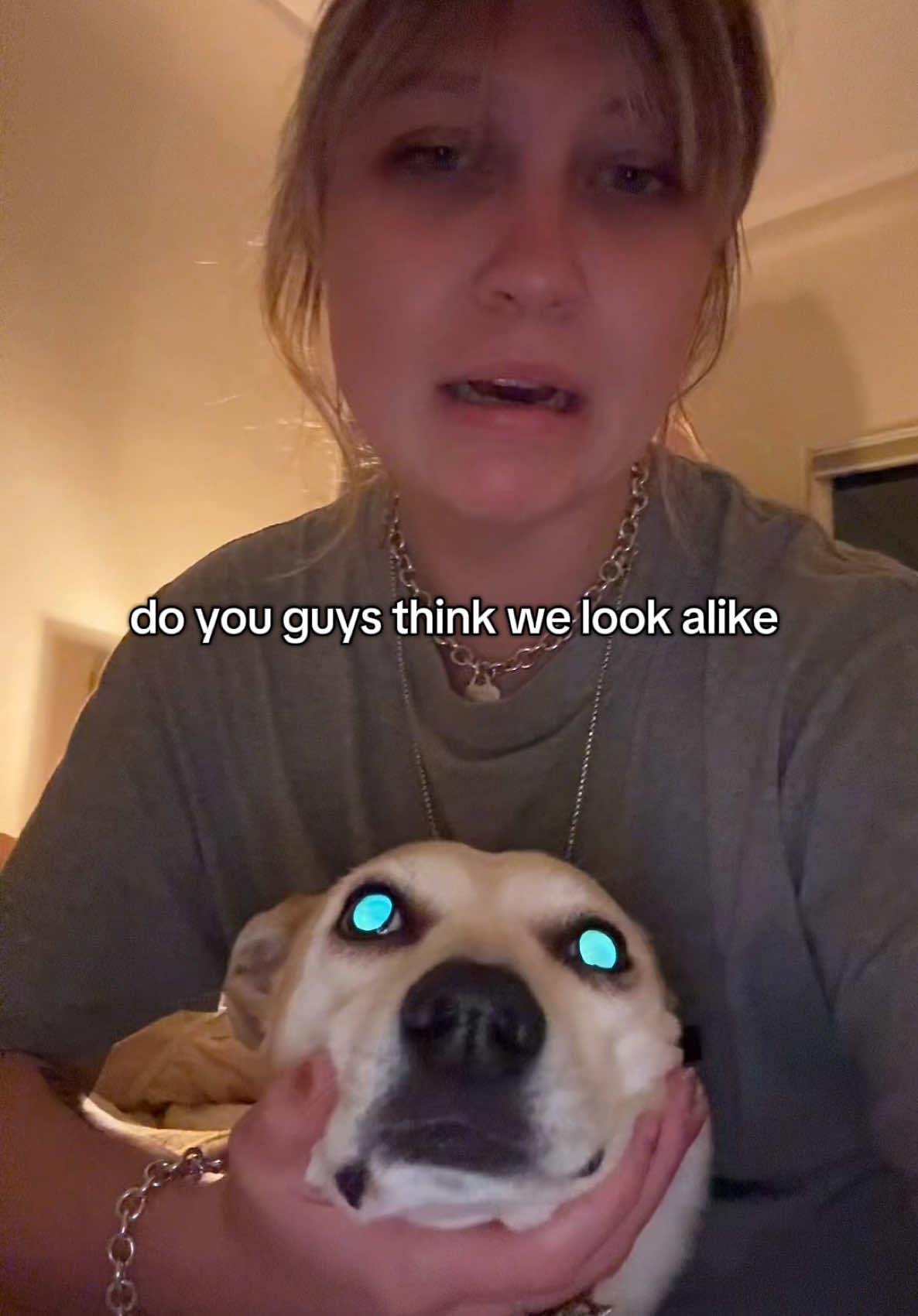 A post by @caroraline on TikTok caption: stella hit us with the 🔵👄🔵