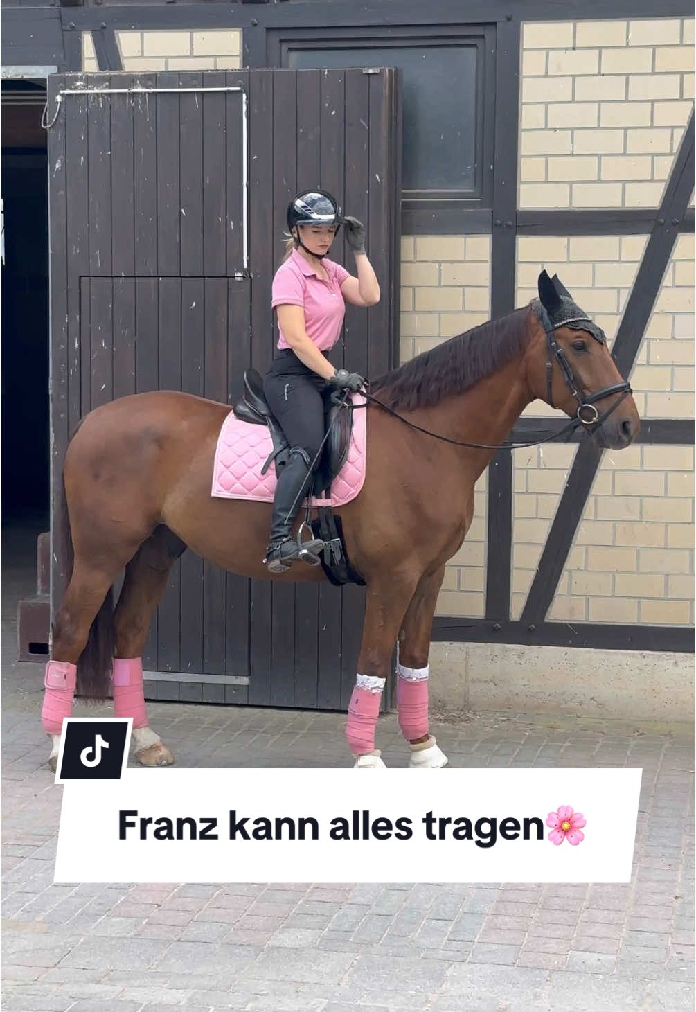 A post by @franziundfleur on TikTok caption: Franz kann 🤷🏼‍♀️ Oder?! IG: franziskaelea  #wallach #fuchs #fuchsliebe #pferd #pferdevideo #schabracke #hvpolo #franziundfleur #franziundfranz #franziskaelea #dressurpferd 
