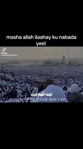 A post by @qadanqaran on TikTok caption: masha allah#somalilandtiktok💚🤍❤ 