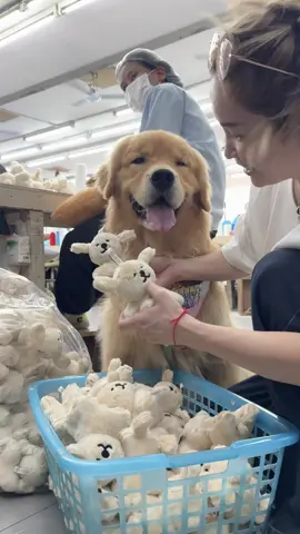 A post by @japanfriends on TikTok caption: กล่องจุ่มจุ๊มเหม่งมาแล้วว